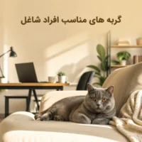 بهترین نژاد گربه برای افراد شاغل